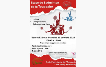 stage badminton adulte loisir